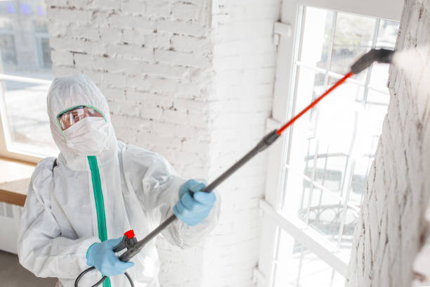 Best Real Estate Mold Inspection  in Monterey Park, CA