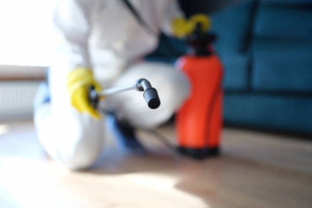 Best Mold Odor Removal Services  in Monterey Park, CA