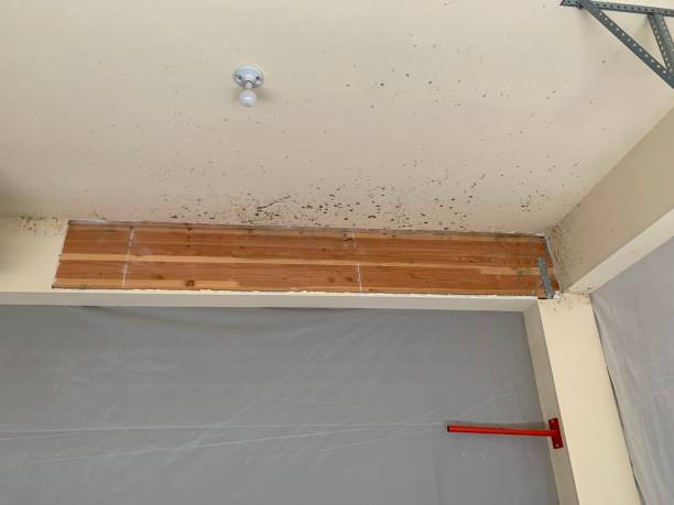 Best HVAC Mold Inspection and Cleaning  in Monterey Park, CA