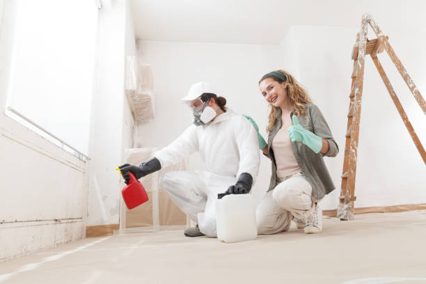 Best Mold Removal for HVAC Installations  in Monterey Park, CA